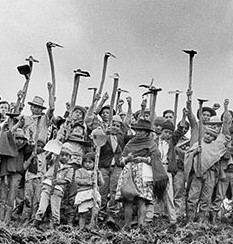 Land, Hunger und Ernährung: Essen für 12 Mrd.